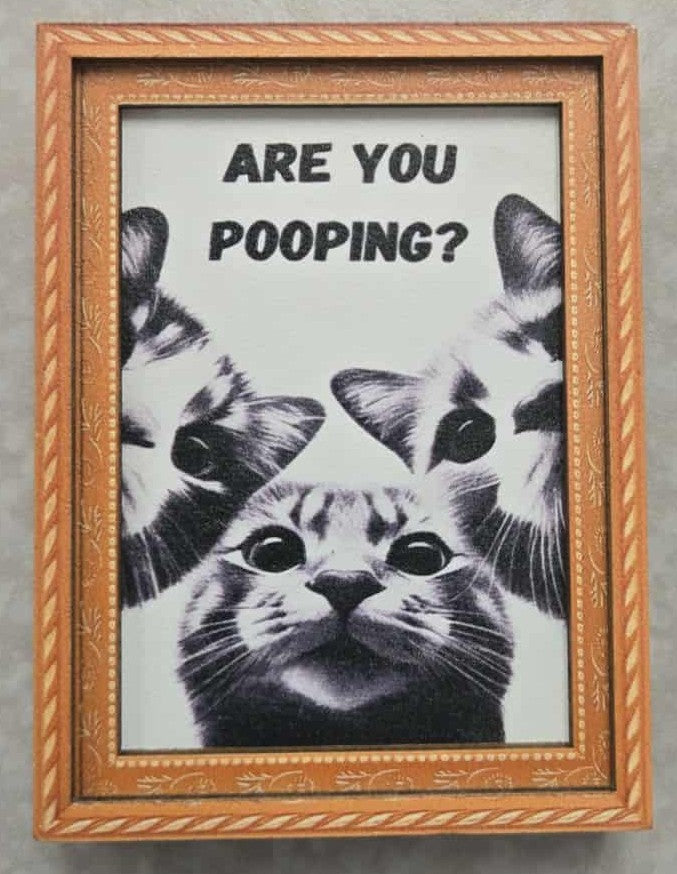 Smoking/Pooping Cat Magnets